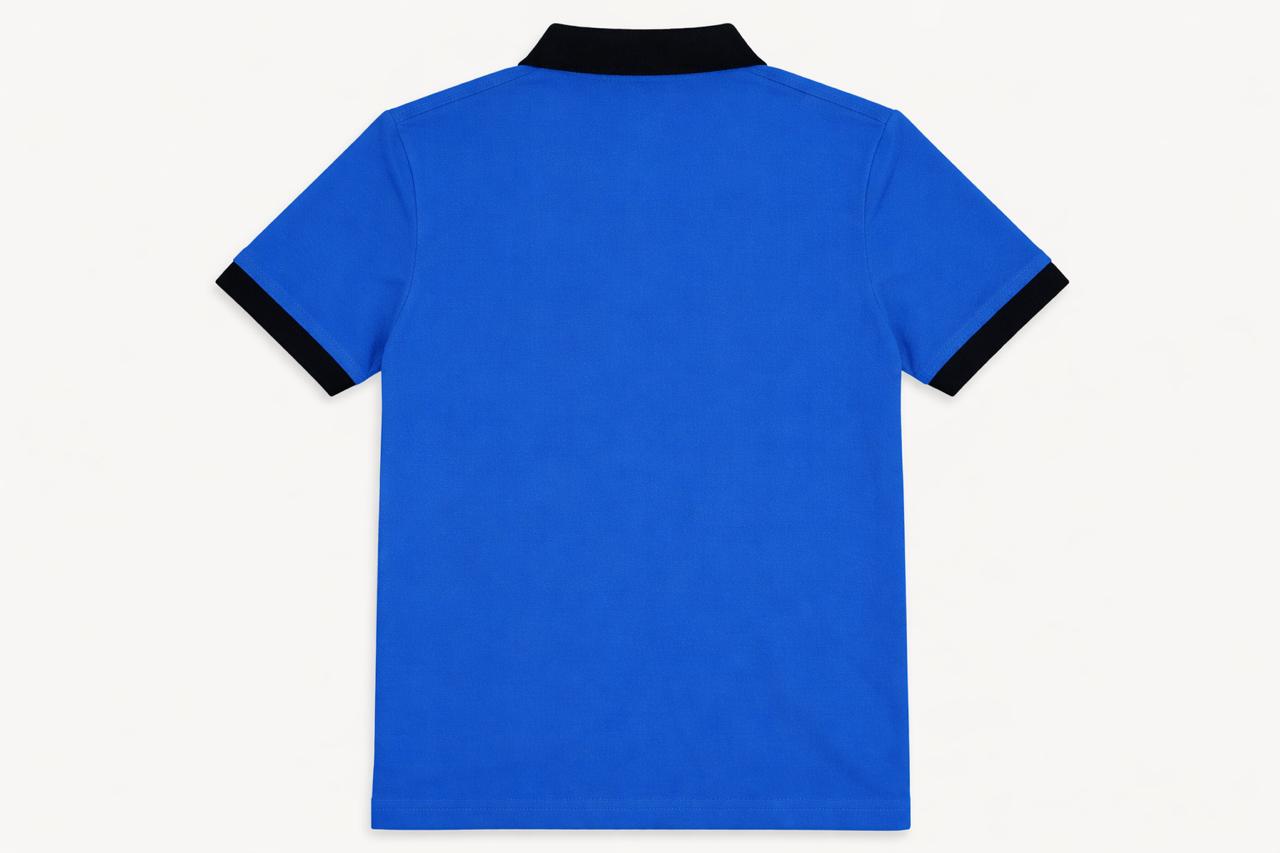 Blue Polo shirts for Men
